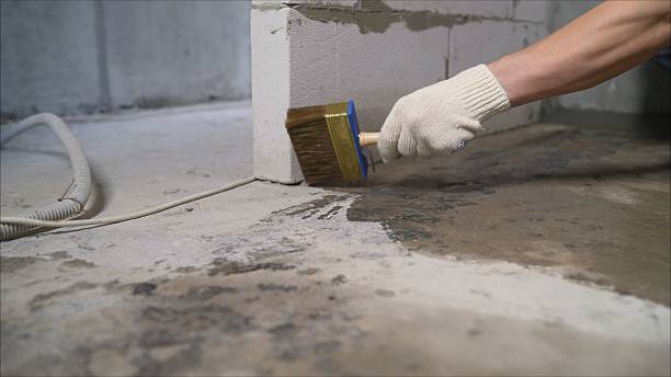SJ Waterproofing Pros Crawl Space Encapsulation coverage map for Ramer, AL and surrounding area